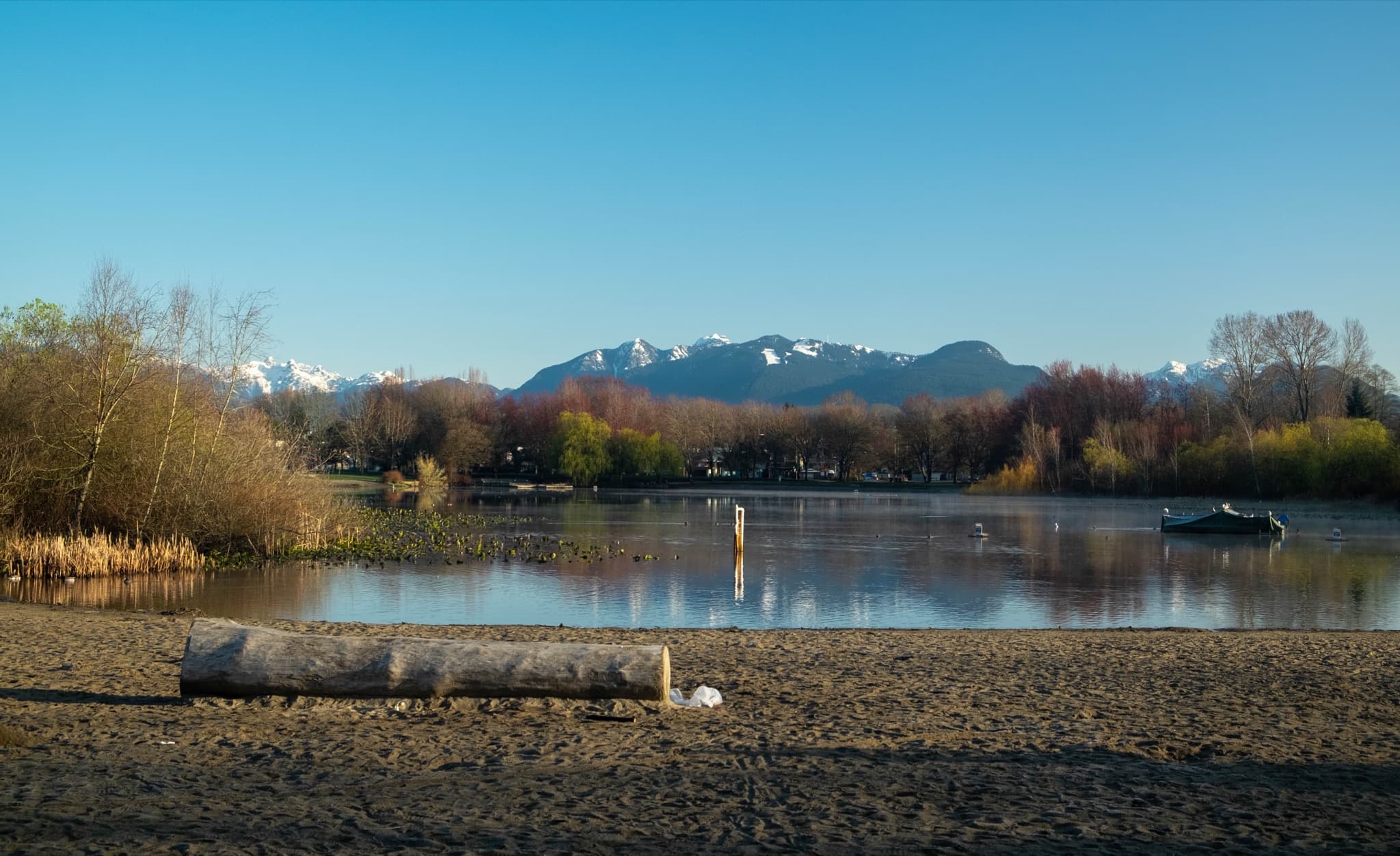 Trout Lake Vancouver Mountain View